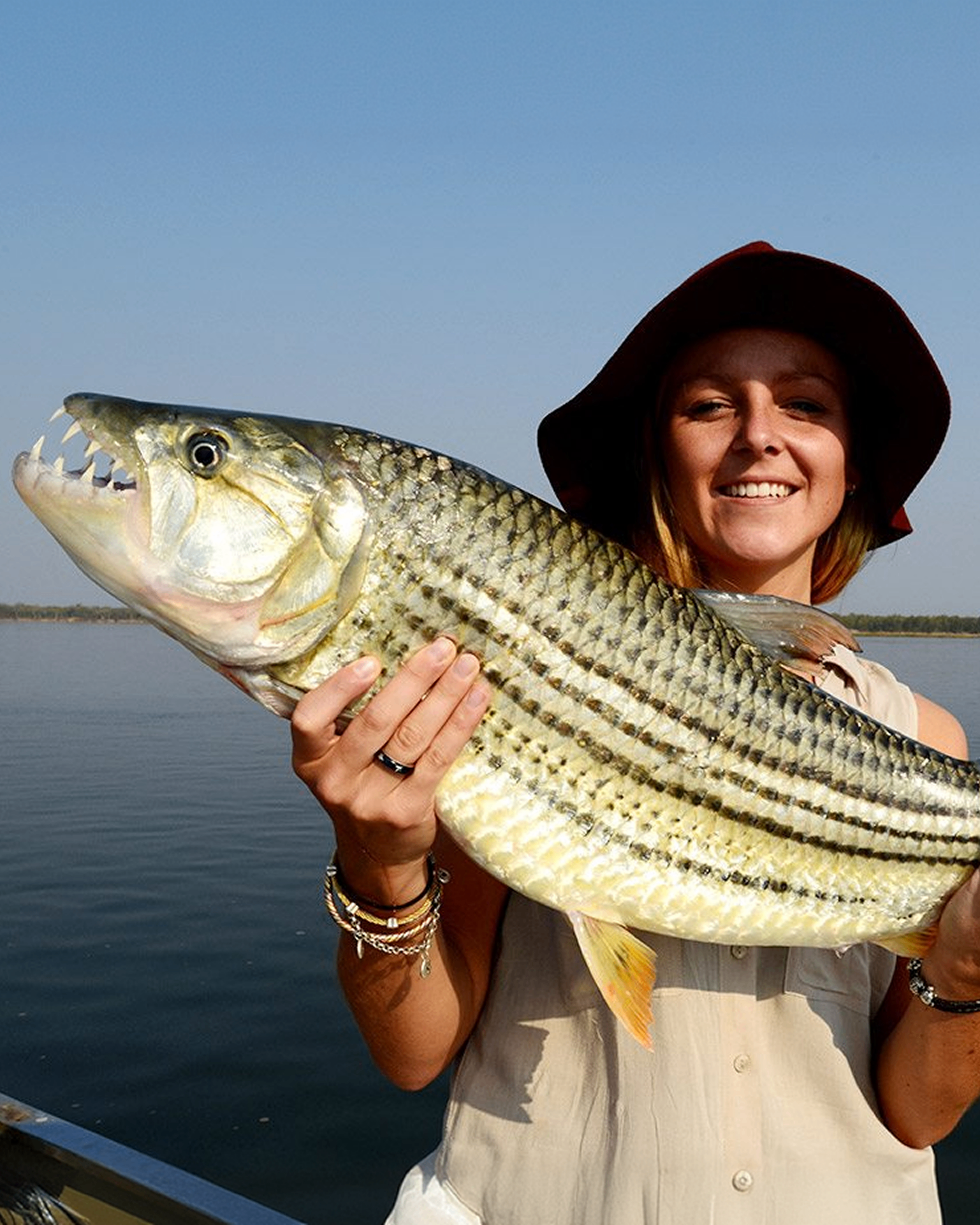 Tigerfish Expedition